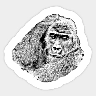 Gorilla portrait 4 Sticker